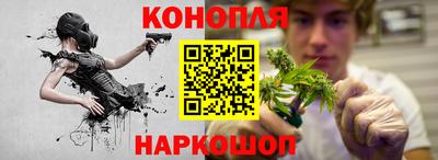 индика Гай