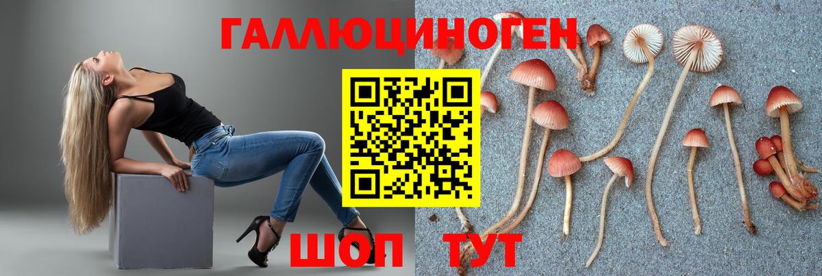 цена   Псилоцибиновые грибы Psilocybine cubensis  Вход с VPN  Саров  Галлюциногенные грибы мухоморы 
